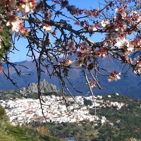 ホテル La Fructuosa Gaucín エクステリア 写真